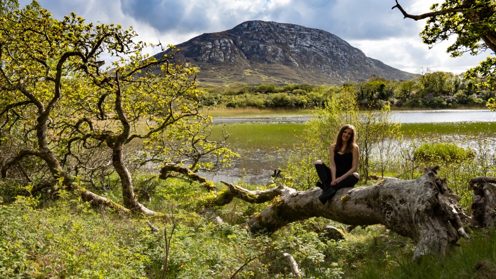 Galway_Kylemore_Rach on Log 2